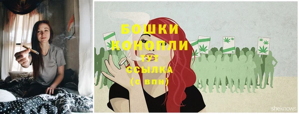 ECSTASY Краснослободск