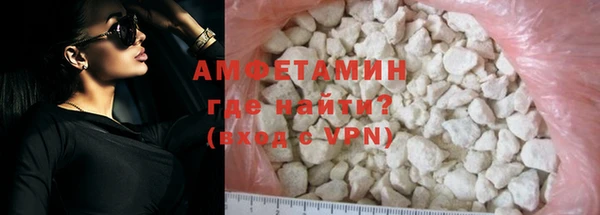 прущие грибы Козельск