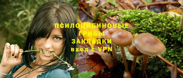 герыч Корсаков